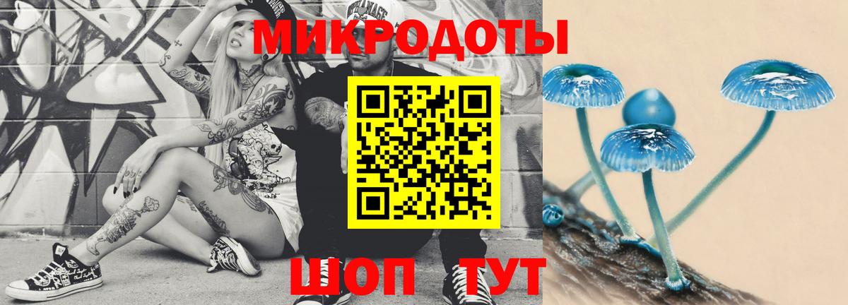 сколько стоит  Вход с VPN  Кировск  Галлюциногенные грибы Magic Shrooms 
